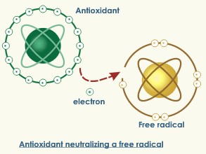 antioxidant